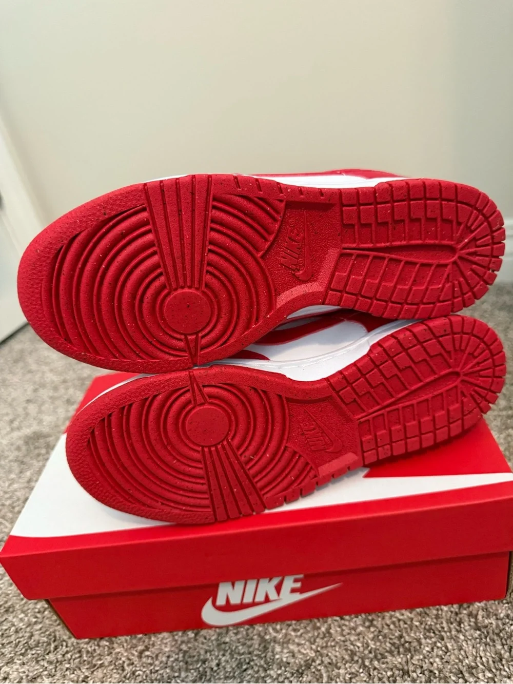 NWT Nike Dunk Low Next Nature Red & White